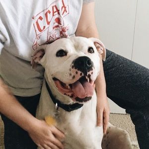 Meet your Posher, Jenn